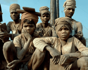 Donation Campaign